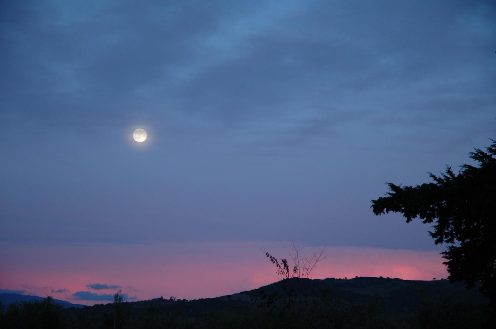Agriturismo Le Piane Del Milia Suvereto Esterno foto